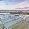 Les marais salants de Guérande