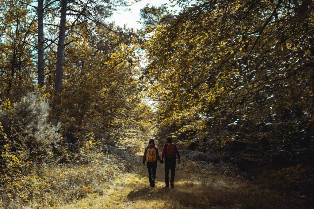 Balade en forêt du Gâvre