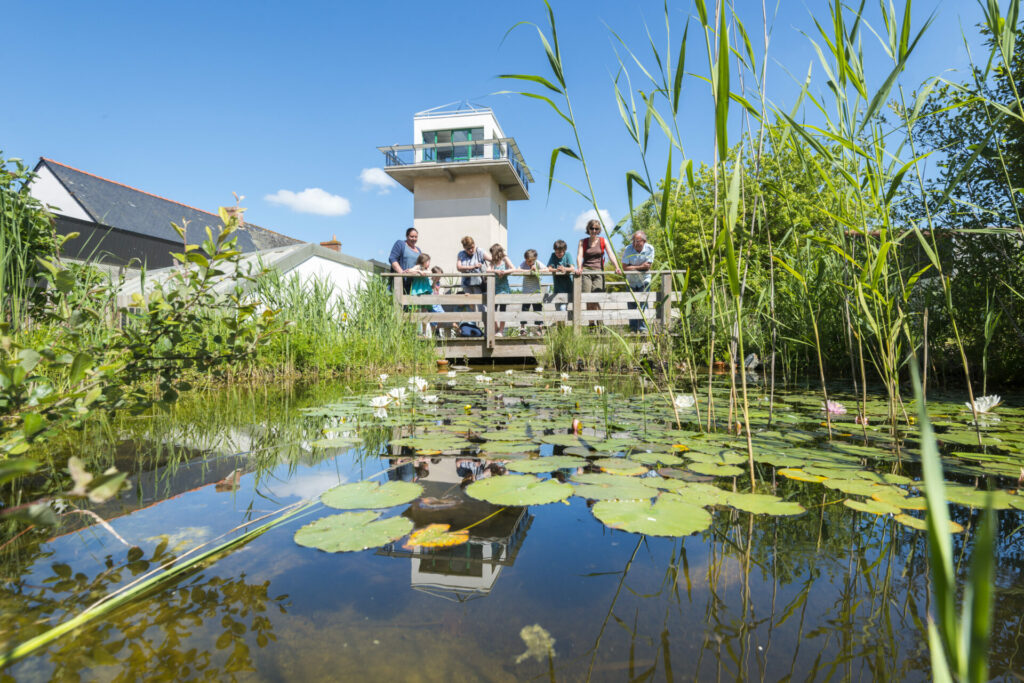 musee du lac de grand lieu